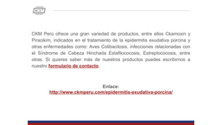 CKM Perú ofrece una gran variedad de productos, entre ellos Ckamoxin y
Piracikim, indicados en el tratamiento de la epidermitis exudativa porcina y
otras enfermedades como: Aves Colibacilosis, infecciones relacionadas con
el Síndrome de Cabeza Hinchada Estafilococosis, Estreptococosis, entre
otras. Si quieres saber más de nuestros productos puedes escribirnos a
nuestro formulario de contacto.
Enlace:
http://www.ckmperu.com/epidermitis-exudativa-porcina/
 