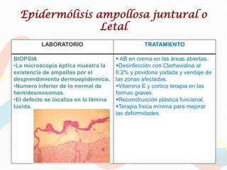 Epidermólisis ampollosa juntural o
                 Letal
          LABORATORIO                            TRATAMIENTO

BIOPSIA                                 AB en crema en las áreas abiertas.
•La microscopia óptica muestra la      Desinfección con Clorhexidina al
existencia de ampollas por el          0.2% y povidona yodada y vendaje de
desprendimiento dermoepidérmico.       las zonas afectadas.
•Numero inferior de lo normal de       Vitamina E y cortico terapia en las
hemidesmosomas.                        formas graves.
•El defecto se localiza en la lámina   Reconstrucción plástica funcional.
lúcida.                                Terapia física mínima para mejorar
                                       las deformidades.
 