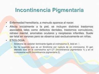 • Enfermedad hereditaria, a menudo aparece al nacer.
• Afecta inicialmente a la piel, se incluyen distintos trastornos
  asociados tales como defectos dentales, trastornos convulsivos,
  retraso mental, anomalias oculares y neoplasias infantiles. Suele
  ser letal en varones pero se observa casi exclusivamente en niñas.
• ETIOLOGIA:
   – Sindrome de carácter dominante ligado al cromosoma X, letal en ♂.
   – Se ha sugerido que es un Síndrome por ruptura de un cromosoma. El gen
     alterado esta en el cromosoma xp11.21 (Incontinencia pigmentaria 1) y en el
     cromosoma xq28 (Incontinencia pigmentaria 2).
 