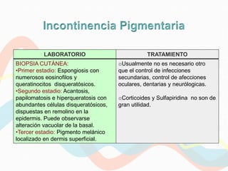 LABORATORIO                            TRATAMIENTO
BIOPSIA CUTÁNEA:                      oUsualmente no es necesario otro
•Primer estadio: Espongiosis con      que el control de infecciones
numerosos eosinofilos y               secundarias, control de afecciones
queratinocitos disqueratósicos.       oculares, dentarias y neurólogicas.
•Segundo estadio: Acantosis,
papilomatosis e hiperqueratosis con   oCorticoides y Sulfapiridina no son de
abundantes células disqueratósicos,   gran utilidad.
dispuestas en remolino en la
epidermis. Puede observarse
alteración vacuolar de la basal.
•Tercer estadio: Pigmento melánico
localizado en dermis superficial.
 