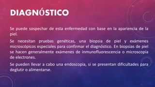 DIAGNÓSTICO
Se puede sospechar de esta enfermedad con base en la apariencia de la
piel.
Se necesitan pruebas genéticas, una biopsia de piel y exámenes
microscópicos especiales para confirmar el diagnóstico. En biopsias de piel
se hacen generalmente exámenes de inmunofluorescencia o microscopía
de electrones.
Se pueden llevar a cabo una endoscopia, si se presentan dificultades para
deglutir o alimentarse.
 
