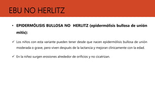 EBU NO HERLITZ
• EPIDERMÓLISIS BULLOSA NO HERLITZ (epidermólisis bullosa de unión
mitis):
 Los niños con esta variante pueden tener desde que nacen epidermólisis bullosa de unión
moderada o grave, pero viven después de la lactancia y mejoran clínicamente con la edad.
 En la niñez surgen erosiones alrededor de orificios y no cicatrizan.
 