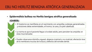 EBU NO HERLITZ BENIGNA ATRÓFICA GENERALIZADA
• Epidermólisis bullosa no Herlitz benigna atrófica generalizada
(GABEB):
• El trastorno se manifiesta en el nacimiento con ampollas cutáneas generalizadas
y erosiones delas extremidades, el tronco, la cara y la piel cabelluda.
• La norma es que el paciente llegue a la edad adulta, pero persisten las ampollas en
áreas traumatizadas
• Pueden observarse distrofia ungueal, alopecia cicatrizal o no cicatrizal, afectación leve
de la membrana mucosa de la boca y defectos del esmalte dental.
 