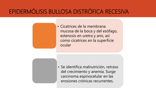 EPIDERMÓLISIS BULLOSA DISTRÓFICA RECESIVA
• Cicatrices de la membrana
mucosa de la boca y del esófago,
estenosis en uretra y ano, así
como cicatrices en la superficie
ocular
• Se identifica malnutrición, retraso
del crecimiento y anemia. Surge
carcinoma espinocelular en las
erosiones crónicas recurrentes.
 