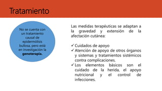 Tratamiento
No se cuenta con
un tratamiento
causal de
epidermólisis
bullosa, pero está
en investigación la
genoterapia.
Las medidas terapéuticas se adaptan a
la gravedad y extensión de la
afectación cutánea:
 Cuidados de apoyo
 Atención de apoyo de otros órganos
y sistemas y tratamientos sistémicos
contra complicaciones.
 Los elementos básicos son el
cuidado de la herida, el apoyo
nutricional y el control de
infecciones.
 