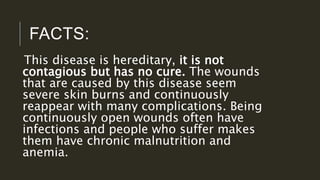 FACTS:
This disease is hereditary, it is not
contagious but has no cure. The wounds
that are caused by this disease seem
severe skin burns and continuously
reappear with many complications. Being
continuously open wounds often have
infections and people who suffer makes
them have chronic malnutrition and
anemia.
 