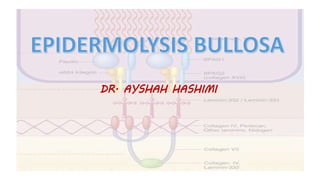 DR. AYSHAH HASHIMI
 