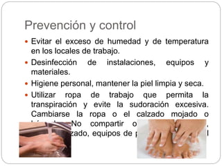 Prevención y control
 Evitar el exceso de humedad y de temperatura
en los locales de trabajo.
 Desinfección de instalaciones, equipos y
materiales.
 Higiene personal, mantener la piel limpia y seca.
 Utilizar ropa de trabajo que permita la
transpiración y evite la sudoración excesiva.
Cambiarse la ropa o el calzado mojado o
húmedo. No compartir objetos personales,
toallas, calzado, equipos de protección individual
(guantes).
 