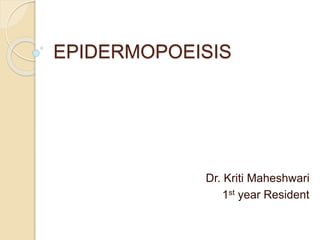 EPIDERMOPOEISIS
Dr. Kriti Maheshwari
1st year Resident
 