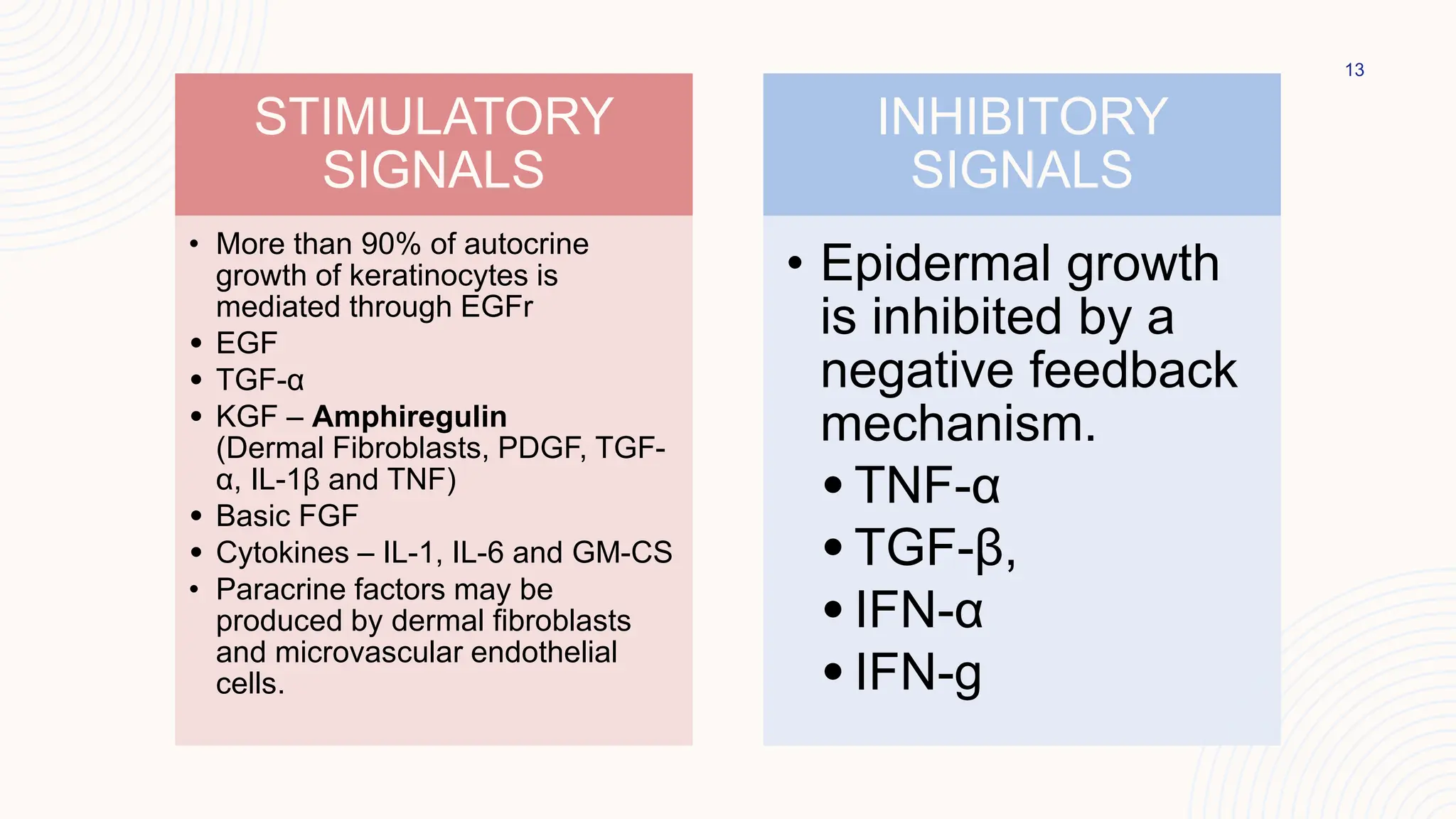13
STIMULATORY
SIGNALS
• More than 90% of autocrine
growth of keratinocytes is
mediated through EGFr
• EGF
• TGF-α
• KGF – Amphiregulin
(Dermal Fibroblasts, PDGF, TGF-
α, IL-1β and TNF)
• Basic FGF
• Cytokines – IL-1, IL-6 and GM-CS
• Paracrine factors may be
produced by dermal fibroblasts
and microvascular endothelial
cells.
INHIBITORY
SIGNALS
• Epidermal growth
is inhibited by a
negative feedback
mechanism.
• TNF-α
• TGF-β,
• IFN-α
• IFN-g
 
