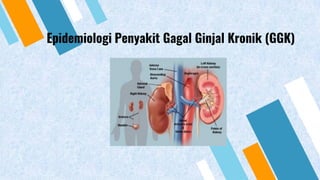 Epidemiologi Penyakit Gagal Ginjal Kronik (GGK)
 