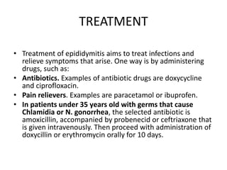 TREATMENT
• Treatment of epididymitis aims to treat infections and
relieve symptoms that arise. One way is by administering
drugs, such as:
• Antibiotics. Examples of antibiotic drugs are doxycycline
and ciprofloxacin.
• Pain relievers. Examples are paracetamol or ibuprofen.
• In patients under 35 years old with germs that cause
Chlamidia or N. gonorrhea, the selected antibiotic is
amoxicillin, accompanied by probenecid or ceftriaxone that
is given intravenously. Then proceed with administration of
doxycillin or erythromycin orally for 10 days.
 