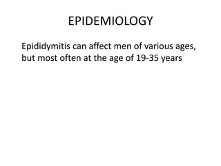 EPIDEMIOLOGY
Epididymitis can affect men of various ages,
but most often at the age of 19-35 years
 