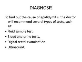 DIAGNOSIS
To find out the cause of epididymitis, the doctor
will recommend several types of tests, such
as:
• Fluid sample test.
• Blood and urine tests.
• Digital rectal examination.
• Ultrasound.
 