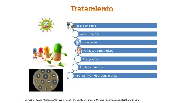 Patologia Genital En El Varon Ppt Descargar