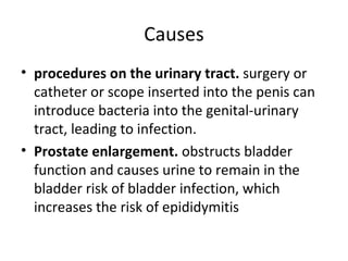 Causes procedures on the urinary tract.  surgery or catheter or scope inserted into the penis can introduce bacteria into the genital-urinary tract, leading to infection. Prostate enlargement.  obstructs bladder function and causes urine to remain in the bladder risk of bladder infection, which increases the risk of epididymitis  