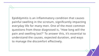 Epididymitis- How Long Will the Pain and Swelling Last.pptx | Free Download