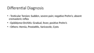 EPIDIDYMO-ORCHITIS presentation for ug.pptx