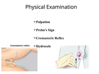 Epididymo-Orchitis in children and young adults | PPTX
