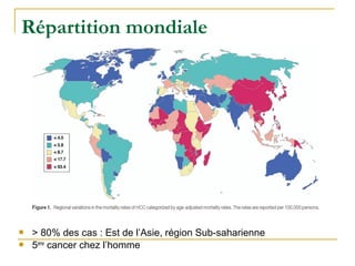Répartition mondiale
 > 80% des cas : Est de l’Asie, région Sub-saharienne
 5ème
cancer chez l’homme
 