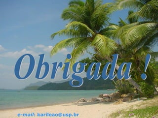 e-mail: karileao@usp.br
 