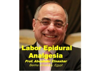Labor Epidural
Analgesia
Prof. Aboubakr Elnashar
Benha university, Egypt
 