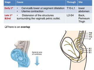 SiteThroughCauseStage
lower
abdomen
T10-L1• Cervical& lower ut segment dilatation
• Uterine contraction
Early 1st
Back,
Pe...