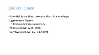 Epidural Space
• Potential Space that surrounds the spinal meninges
• Ligamentum Flavum
• Binds epidural space posteriorly
• Widest at Level L2 (5-6mm)
• Narrowest at Level C5 (1-1.5mm)
 
