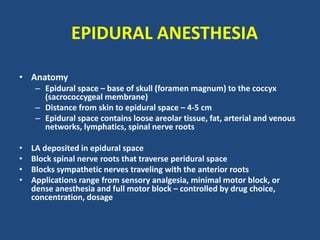 • Anatomy
– Epidural space – base of skull (foramen magnum) to the coccyx
(sacrococcygeal membrane)
– Distance from skin to epidural space – 4-5 cm
– Epidural space contains loose areolar tissue, fat, arterial and venous
networks, lymphatics, spinal nerve roots
• LA deposited in epidural space
• Block spinal nerve roots that traverse peridural space
• Blocks sympathetic nerves traveling with the anterior roots
• Applications range from sensory analgesia, minimal motor block, or
dense anesthesia and full motor block – controlled by drug choice,
concentration, dosage
EPIDURAL ANESTHESIA
 