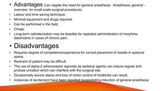 • Advantages Can negate the need for general anesthesia Anesthesia: general -
overview for small scale surgical procedures.
• Labour and time saving technique.
• Minimal equipment and drugs required.
• Can be performed in the field.
• Cheap.
• Long-term catheterization may be feasible for repeated administration of morphine-
detomidine in cases of chronic pain.
• Disadvantages
• Requires degree of competence/experience for correct placement of needle in epidural
space.
• Restraint of patient may be difficult.
• The use of alpha-2 adrenoceptor agonists as sedative agents can induce regular and
profuse urination which can interfere with the surgical site.
• Occasionally severe ataxia and loss of motor control of hindlimbs can result.
• Instances of excitement have been reported necessitating induction of general anesthesia
 