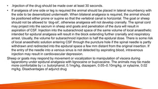 • .Injection of the drug should be made over at least 30 seconds.
• If analgesia of one side or leg is required the animal should be placed in lateral recumbency with
the side to be desensitized underneath. When bilateral analgesia is required, the animal should
be positioned either prone or supine so that the vertebral canal is horizontal. The goat or sheep
should not be allowed to ‘dog-sit’, otherwise analgesia will not develop cranially. The spinal cord
may project into the sacrum in sheep and goats and penetration of the dura will result in
aspiration of CSF. Injection into the subarachnoid space of the same volume of local anaesthetic
intended for epidural analgesia will result in the block extending further cranially and respiratory
arrest. Usually, the volume for subarachnoid injection is half the epidural dose. There is some risk
of local anaesthetic solution entering CSF through the puncture hole if the spinal needle is partly
withdrawn and redirected into the epidural space a few mm distant from the original insertion. If
the entry of the needle into a venous sinus is not detected by aspirating blood, intravenous
injection may result in cardiovascular depression.
Sheep or goats may respond by movement or vocalization to manipulation of viscera during
laparotomy under epidural analgesia with lignocaine or bupivacaine. The animals may be made
more comfortable by i.v. butorphanol, 0.1mg/kg, diazepam, 0.05–0.10mg/kg, or xylazine, 0.02
mg/kg. Disadvantages of adjunct drug
 