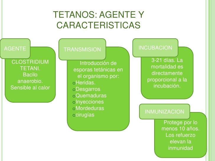 cadena epidemiologica tetanos epidemiologia del tetanos accidental cadena epidemiologica tetanos epidemiologia del tetanos accidental