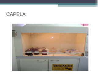 CAPELA
 
