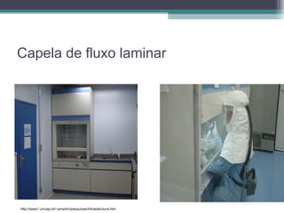 Capela de fluxo laminar
http://www1.univap.br/~amartin/pesquisas/Infraestrutura.htm
 