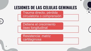 LESIONES DE LAS CELULAS GEMINALES
Trauma directo, pérdida
circulatoria o comprensión
Detiene el crecimiento
óseo longitudinal
Resistencia: matriz
cartilaginosa
 
