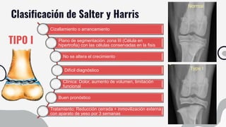Clasificación de Salter y Harris
TIPO I
Cizallamiento o arrancamiento
Plano de segmentación: zona III (Célula en
hipertrofia) con las células conservadas en la fisis
No se altera el crecimiento
Difícil diagnóstico
Clínica: Dolor, aumento de volumen, limitación
funcional
Buen pronóstico
Tratamiento: Reducción cerrada + inmovilización externa
con aparato de yeso por 3 semanas
 