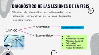 DIAGNÓSTICO DE LAS LESIONES DE LA FISIS
Clínico
Anamnesis
Examen físico
Antecedente traumático
 Dolor
 Aumento de volumen
 Alteración funcional
 Deformidad
 Incapacidad para
realizar movimientos
 Dificultad de diagnostico, es indispensable tener
radiografías comparativas de la zona topográfica
(lesionada y sana).
 