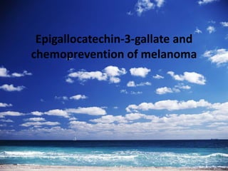 Epigallocatechin-3-gallate and
chemoprevention of melanoma
 