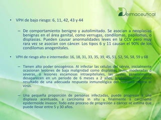 • VPH de bajo riesgo: 6, 11, 42, 43 y 44
– De comportamiento benigno y autolimitado. Se asocian a neoplasias
benignas en el área genital, como verrugas, condilomas, papilomas, o
displasias. Pueden causar anormalidades leves en la CCV pero muy
rara vez se asocian con cáncer. Los tipos 6 y 11 causan el 90% de los
condilomas anogenitales.
• VPH de riesgo alto e intermedio: 16, 18, 31, 33, 35, 39, 45, 51, 52, 56, 58, 59 y 68
– Tienen alto poder oncogénico. AI infectar las células del cérvix, inicialmente
ocasionan Iesiones de baja malignidad como displasias Ieves, moderadas o
severas, o lesiones escamosas intraepiteliales, las cuales generalmente
desaparecen en un periodo de 6 meses a 2 años, probablemente como
resultado de una adecuada respuesta inmunológica del huésped contra el
virus.
– Una pequeña proporción de personas infectadas, puede progresar a una
displasia acentuada, a carcinoma in situ y finalmente a carcinoma
epidermoide invasor. Todo este proceso de progresión a cáncer se estima que
puede Ilevar entre 5 y 30 años.
 