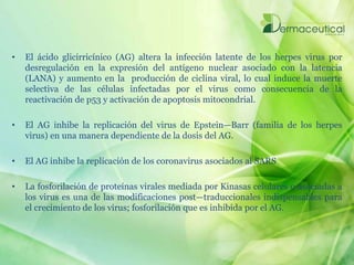 • El ácido glicirricínico (AG) altera la infección latente de los herpes virus por
desregulación en la expresión del antígeno nuclear asociado con la latencia
(LANA) y aumento en la producción de ciclina viral, lo cual induce la muerte
selectiva de las células infectadas por el virus como consecuencia de la
reactivación de p53 y activación de apoptosis mitocondrial.
• El AG inhibe la replicación del virus de Epstein—Barr (familia de los herpes
virus) en una manera dependiente de la dosis del AG.
• El AG inhibe la replicación de los coronavirus asociados al SARS
• La fosforilación de proteínas virales mediada por Kinasas celulares o asociadas a
los virus es una de las modificaciones post—traduccionales indispensables para
el crecimiento de los virus; fosforilación que es inhibida por el AG.
 