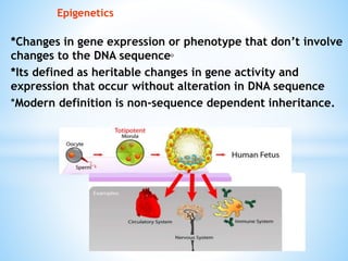 Epigenetics
*Changes in gene expression or phenotype that don’t involve
changes to the DNA sequence()
*Its defined as heritable changes in gene activity and
expression that occur without alteration in DNA sequence
*Modern definition is non-sequence dependent inheritance.
 