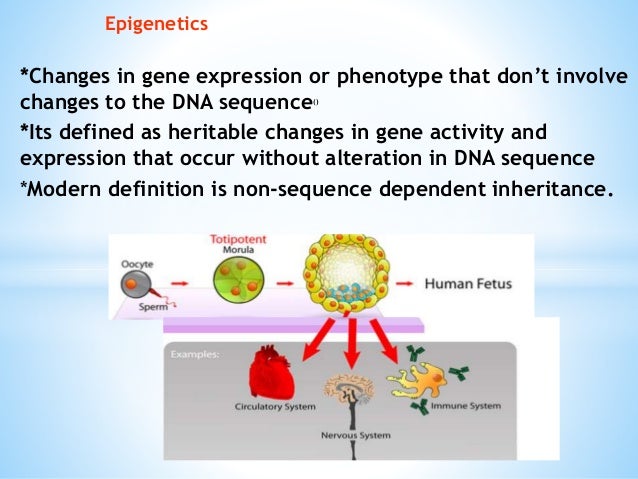 Epigenetic