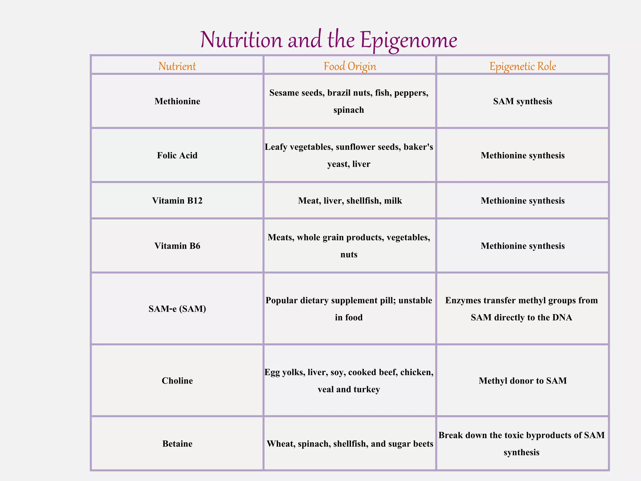 Nutrient Food Origin Epigenetic Role
Methionine
Sesame seeds, brazil nuts, fish, peppers,
spinach
SAM synthesis
Folic Acid
Leafy vegetables, sunflower seeds, baker's
yeast, liver
Methionine synthesis
Vitamin B12 Meat, liver, shellfish, milk Methionine synthesis
Vitamin B6
Meats, whole grain products, vegetables,
nuts
Methionine synthesis
SAM-e (SAM)
Popular dietary supplement pill; unstable
in food
Enzymes transfer methyl groups from
SAM directly to the DNA
Choline
Egg yolks, liver, soy, cooked beef, chicken,
veal and turkey
Methyl donor to SAM
Betaine Wheat, spinach, shellfish, and sugar beets
Break down the toxic byproducts of SAM
synthesis
Nutrition and the Epigenome
 