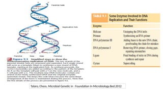 Talaro, Chess. Microbial Genetic in : Foundation In Microbiology.8ed.2012
 