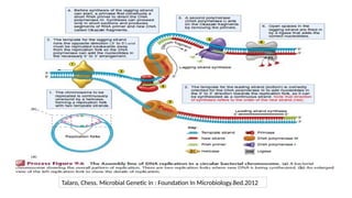 Talaro, Chess. Microbial Genetic in : Foundation In Microbiology.8ed.2012
 