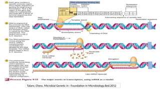 Talaro, Chess. Microbial Genetic in : Foundation In Microbiology.8ed.2012
 