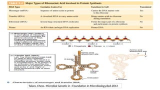 Talaro, Chess. Microbial Genetic in : Foundation In Microbiology.8ed.2012
 