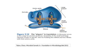 Talaro, Chess. Microbial Genetic in : Foundation In Microbiology.8ed.2012
 