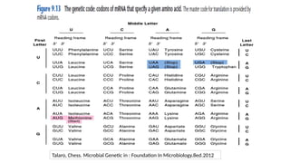 Talaro, Chess. Microbial Genetic in : Foundation In Microbiology.8ed.2012
 