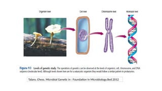 Talaro, Chess. Microbial Genetic in : Foundation In Microbiology.8ed.2012
 